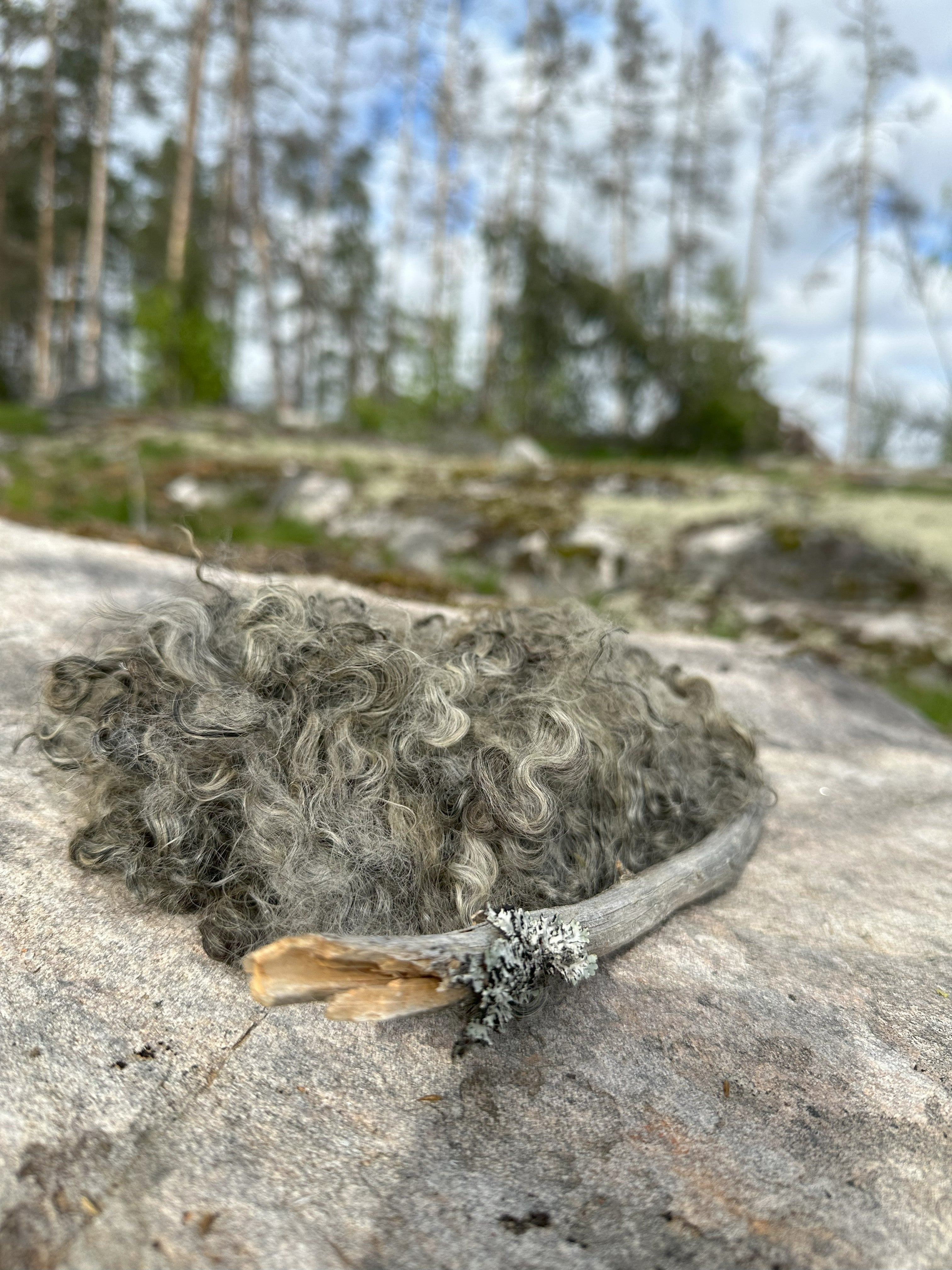 Gotlanninlampaan Kevyesti pesty raakavilla, 100g - musta-harmaa