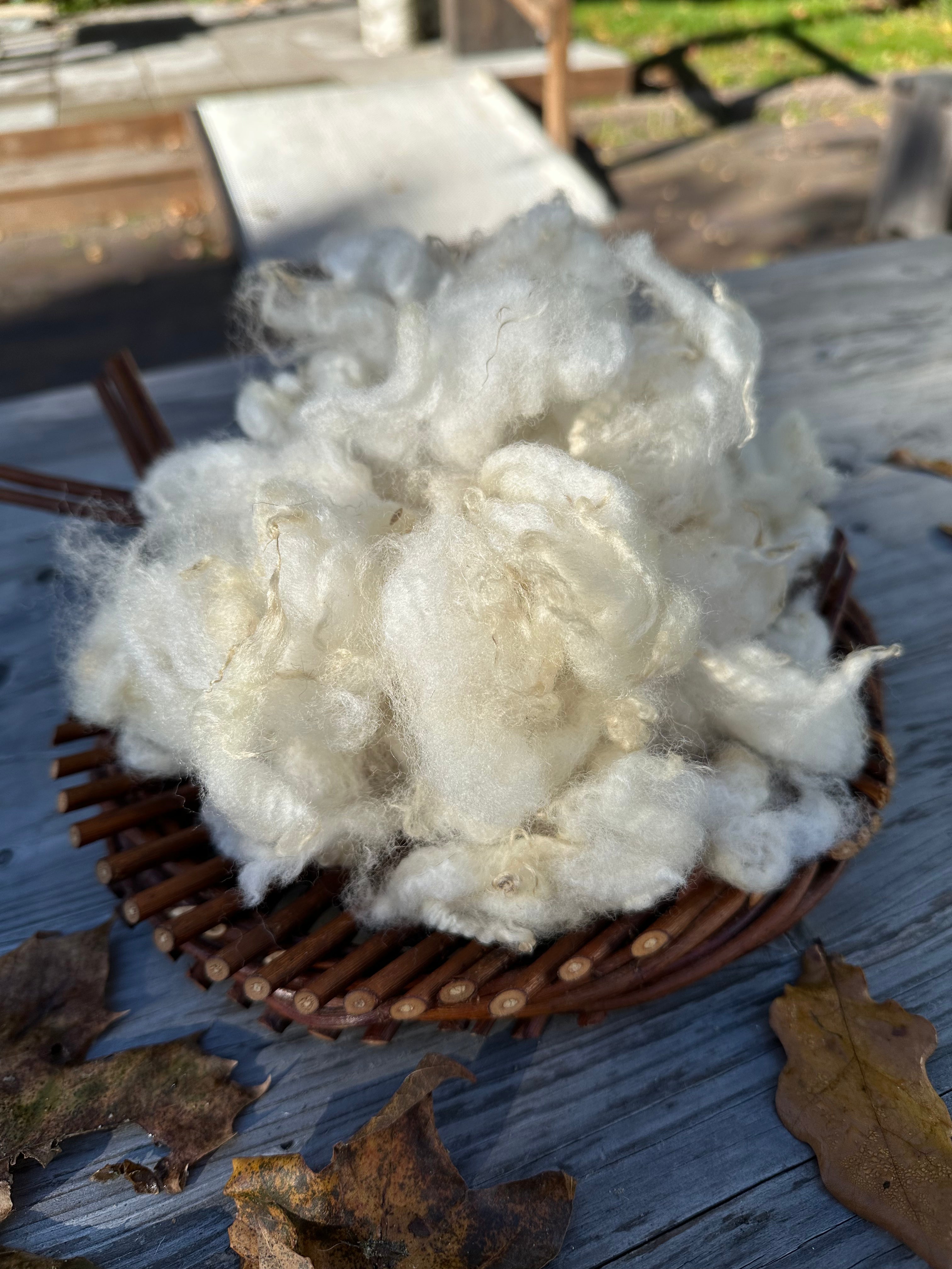 Rygja lampaan Kevyesti pesty raakavilla, 50g - valkoinen