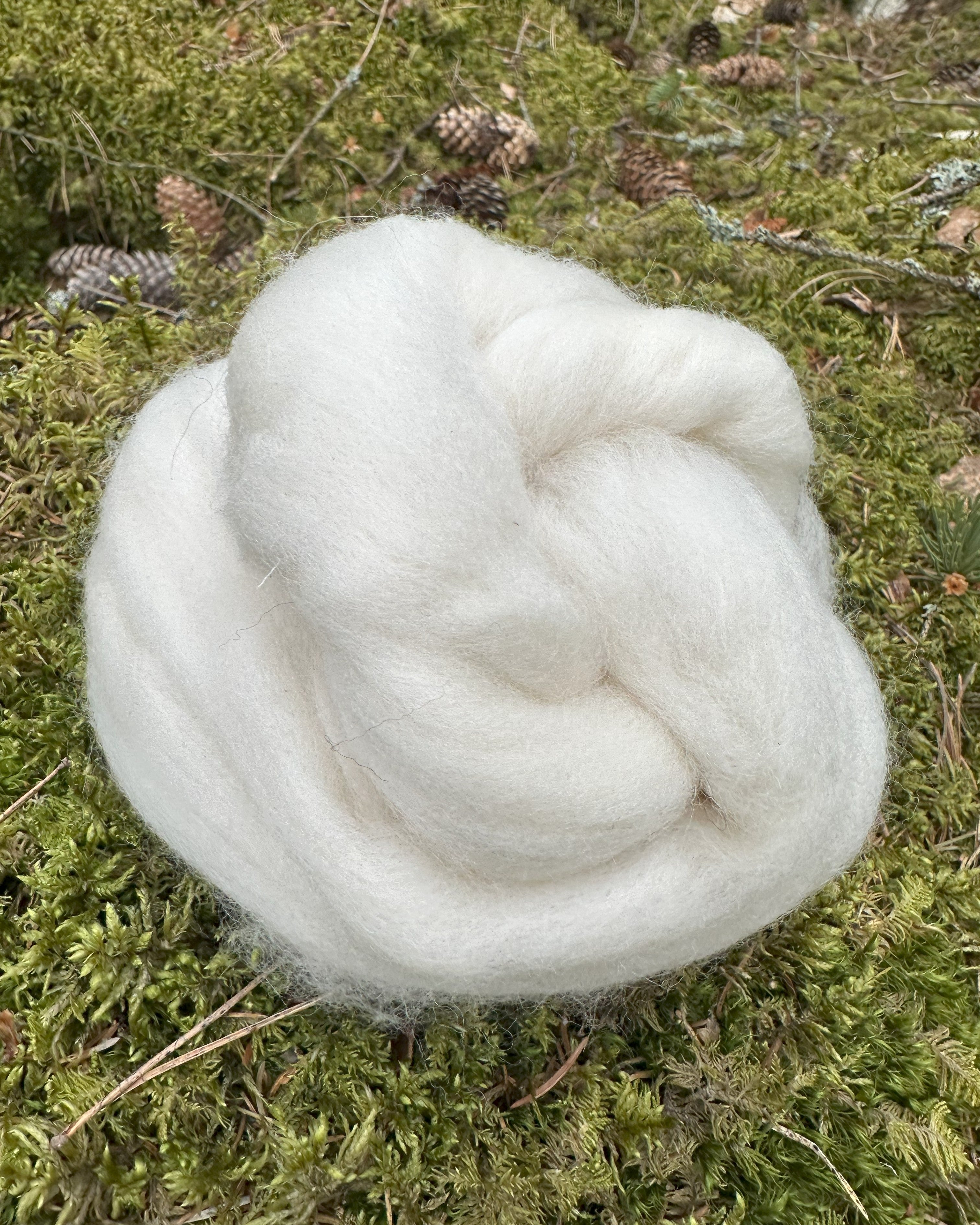 Polwarth lampaan -villatopsi 50 g, valkoinen