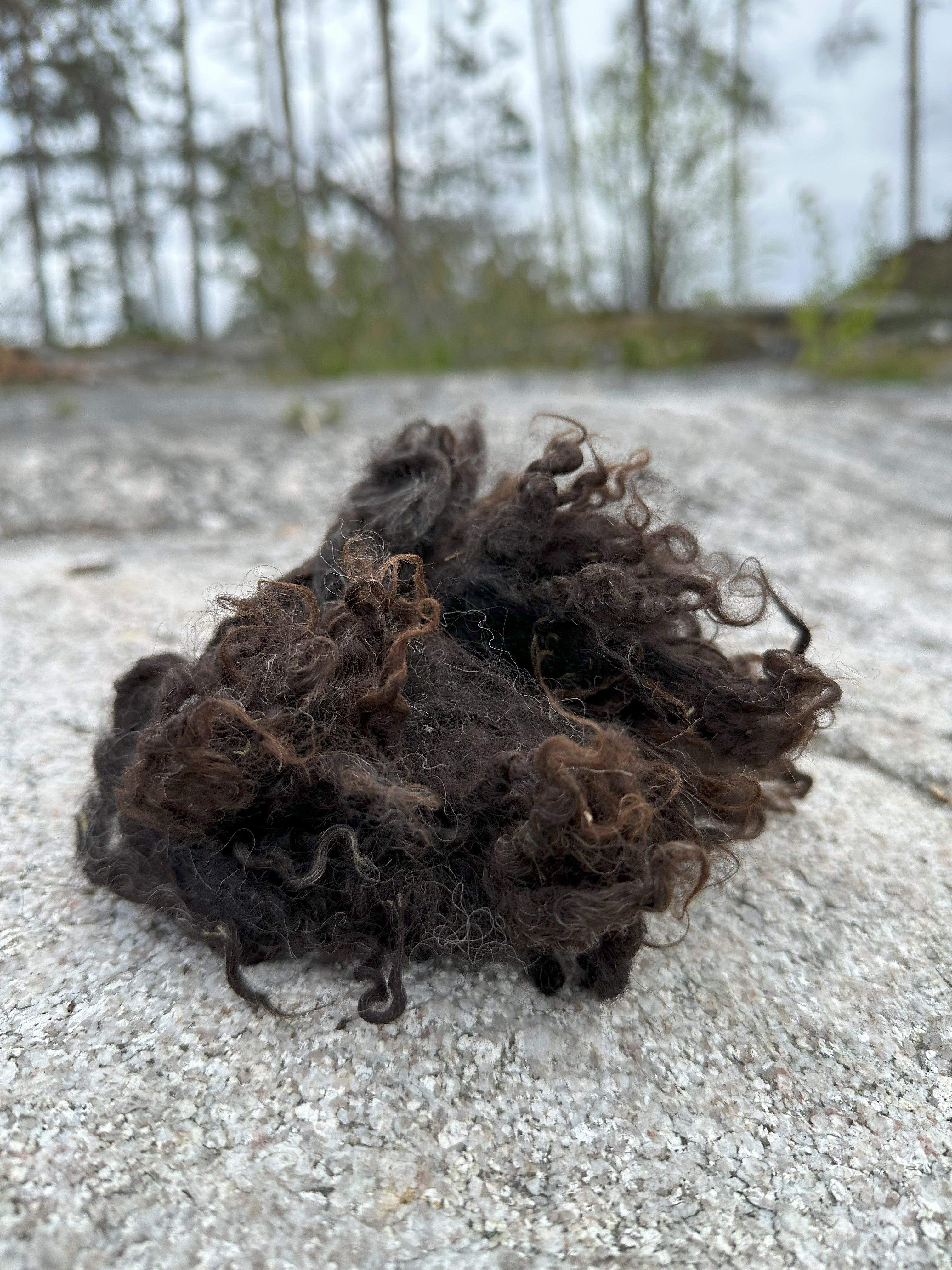 Suomenlampaan Kevyesti pesty raakavilla, 100g - musta