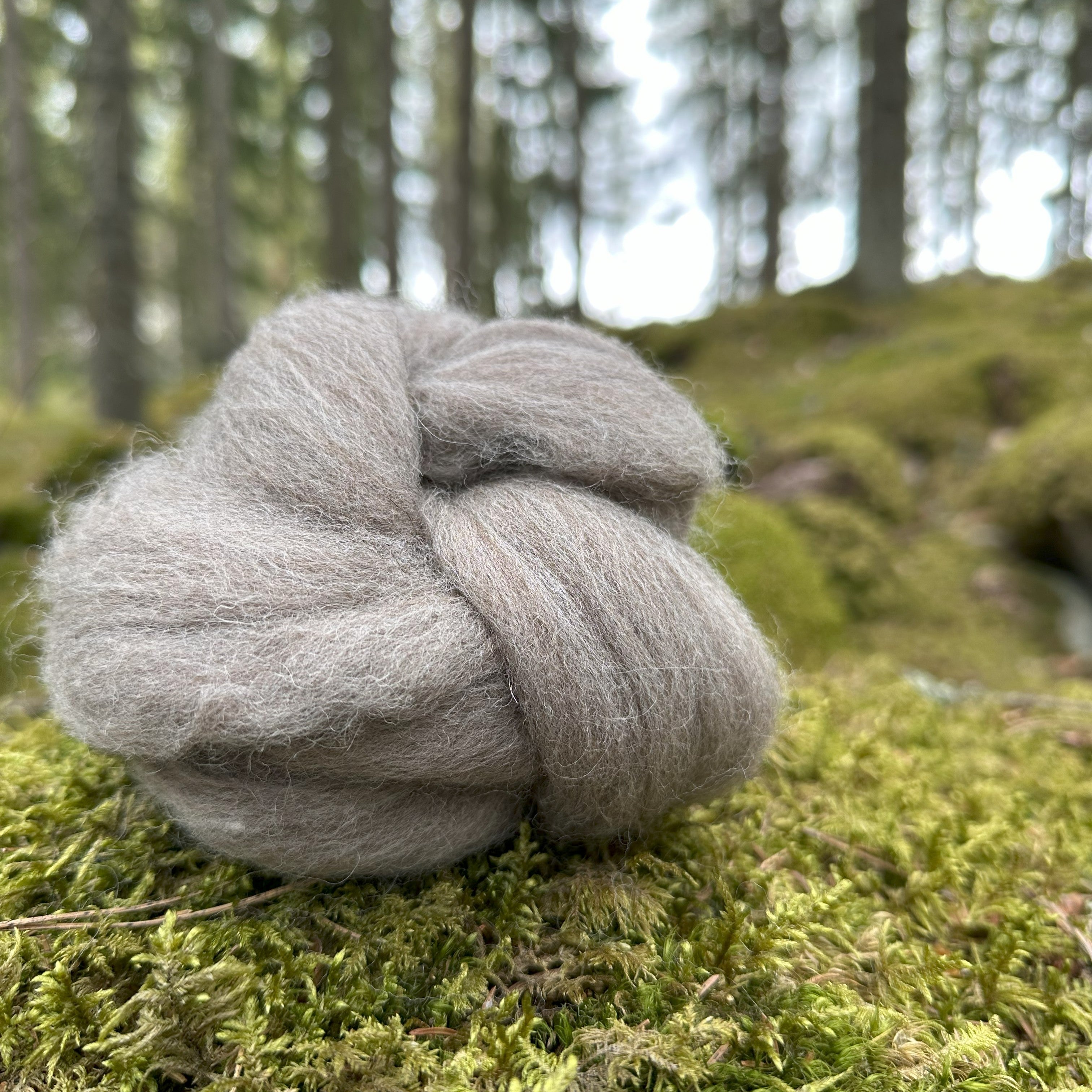 BFL (Blue Faced Leicester) -villatopsi 50 g