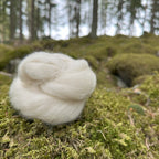 BFL (Blue Faced Leicester) -villatopsi 50 g