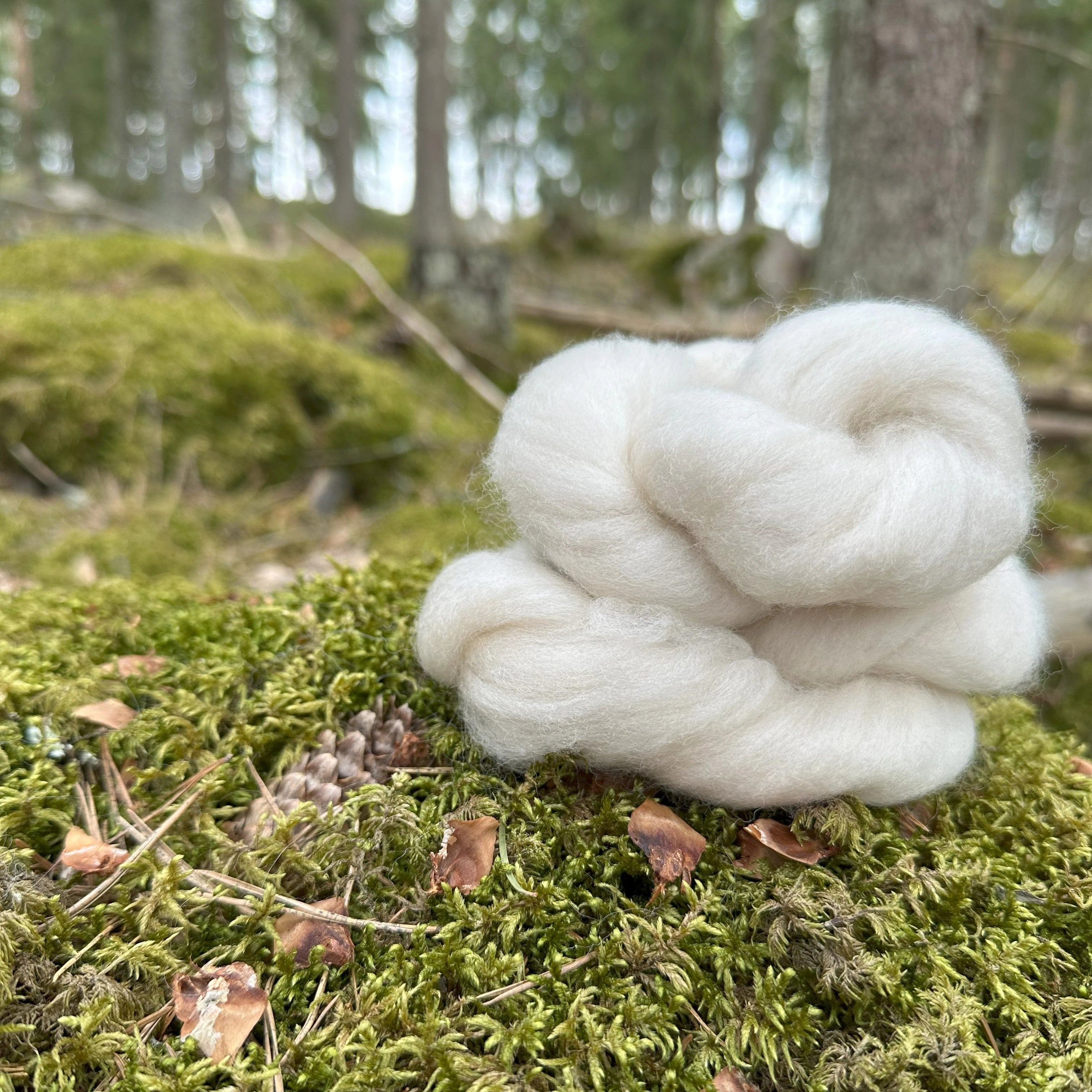 Kehrättäessä Cormo-villan hieno ja pehmeä kuitu tekee työskentelystä miellyttävää niin rukilla kuin värttinälläkin.