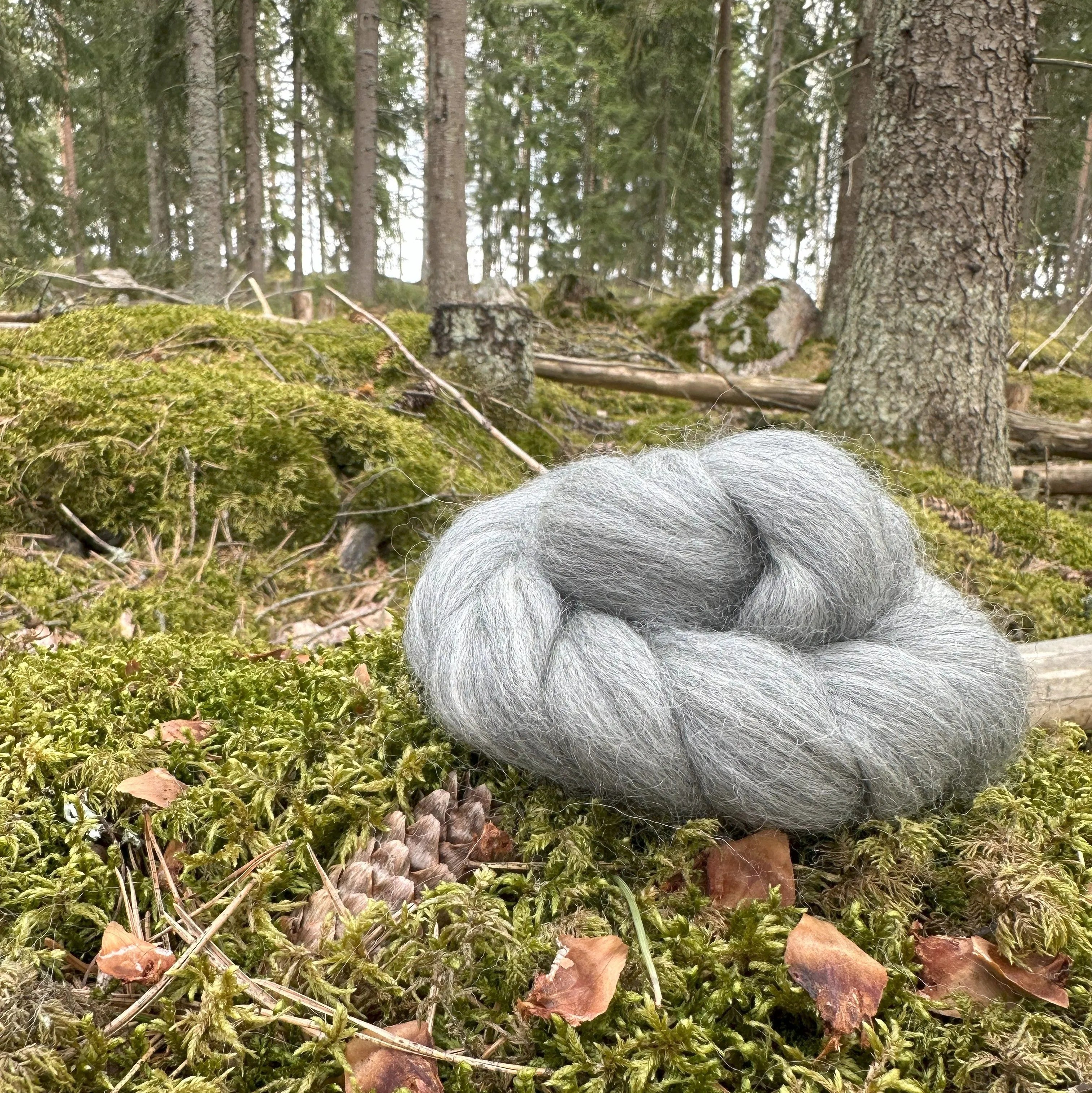 Kehrääjän unelma! Tässä Corriedale-topissa on luonnollinen joustava rakenne, joka tekee siitä helpon kehrätä.