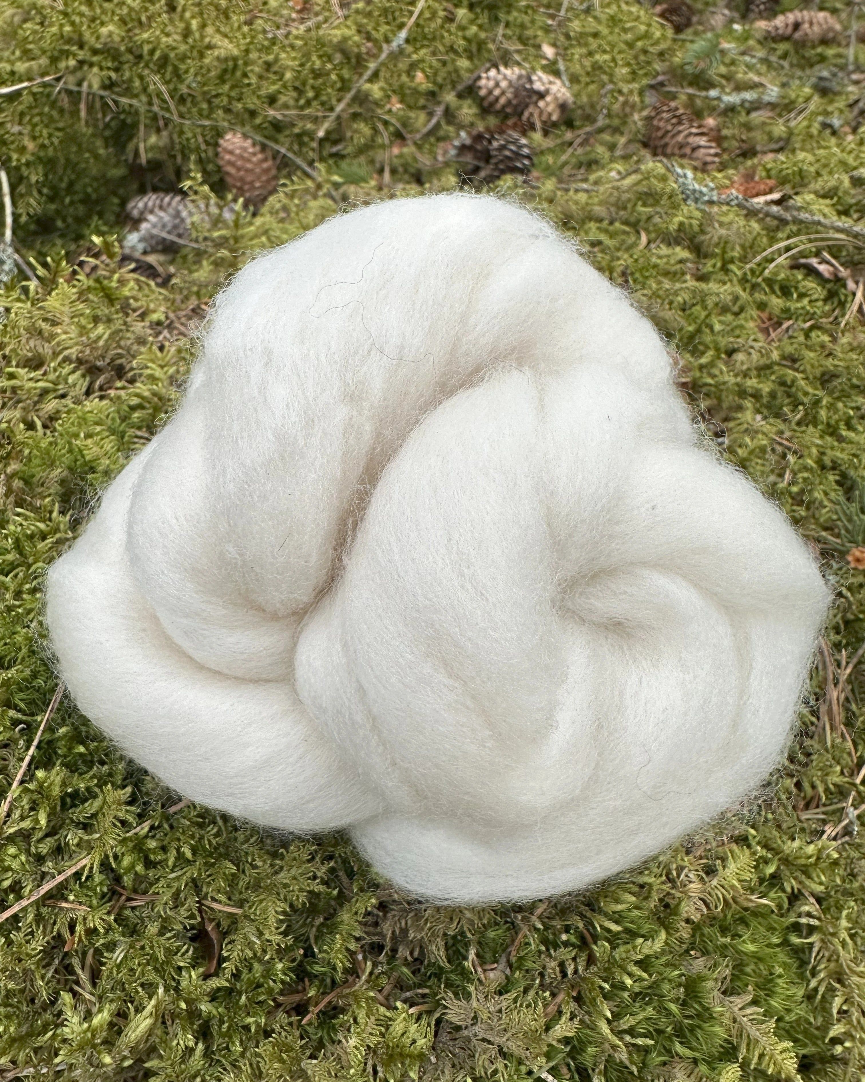 Superpehmeä ja ylellinen! Falkland Merino -villa on hienointa laatua, silkkisen sileää ja täydellisesti kehräykseen sopivaa. Tämä valkoinen Unelma on kaikille käsityön ystäville!