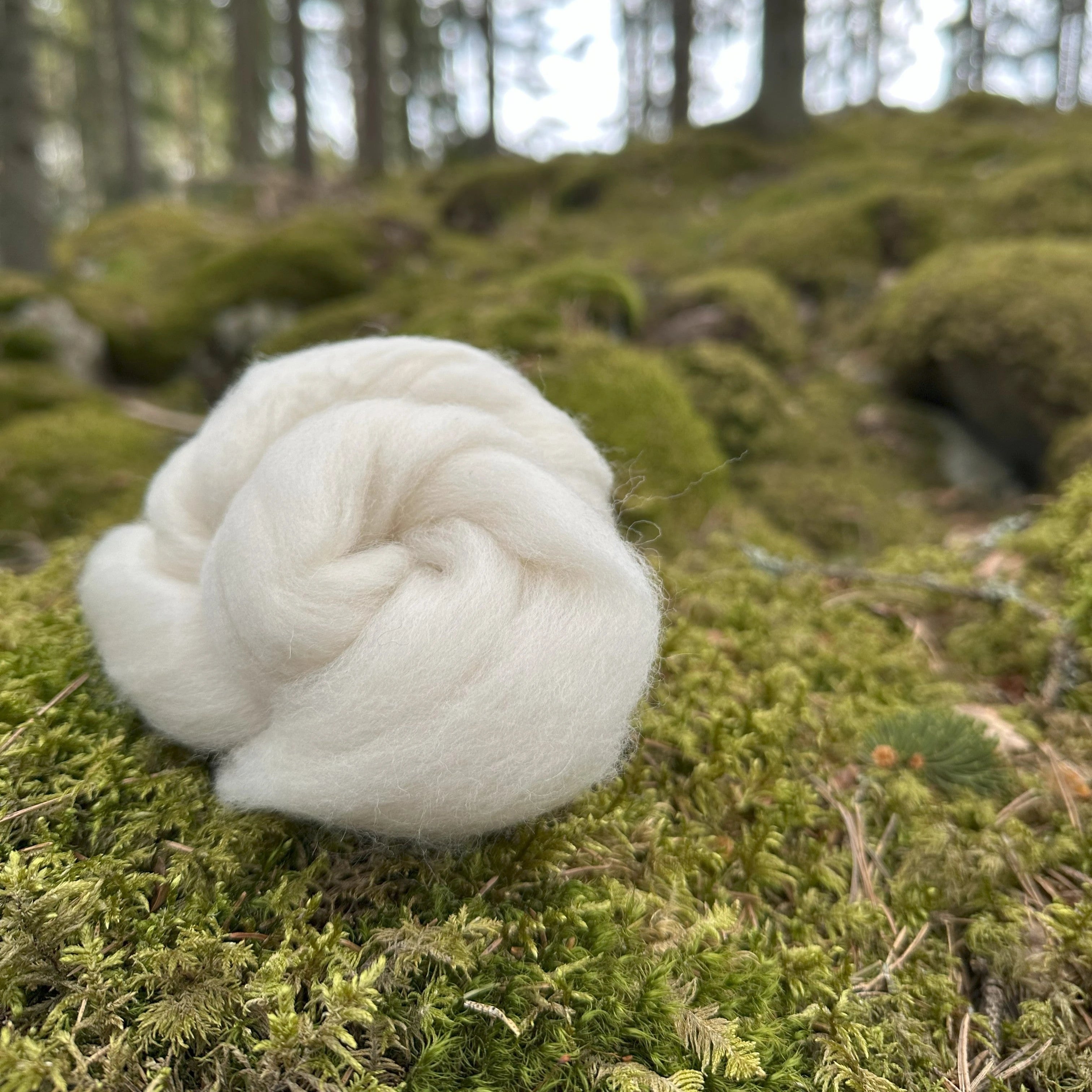 Superpehmeä ja ylellinen! Falkland Merino -villa on hienointa laatua, silkkisen sileää ja täydellisesti kehräykseen sopivaa. Tämä valkoinen Unelma on kaikille käsityön ystäville!
