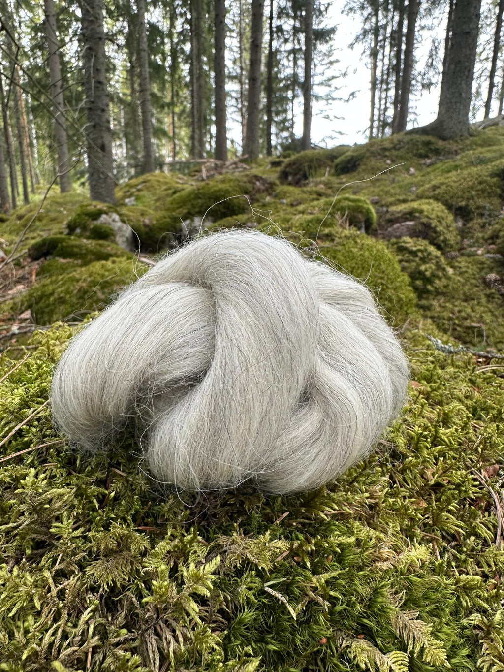 Hienoa ja kevyttä Färsaarten lampaan villaa! Monisävyinen kuitu luo lankana kauniin luonnollisen meleerauksen.