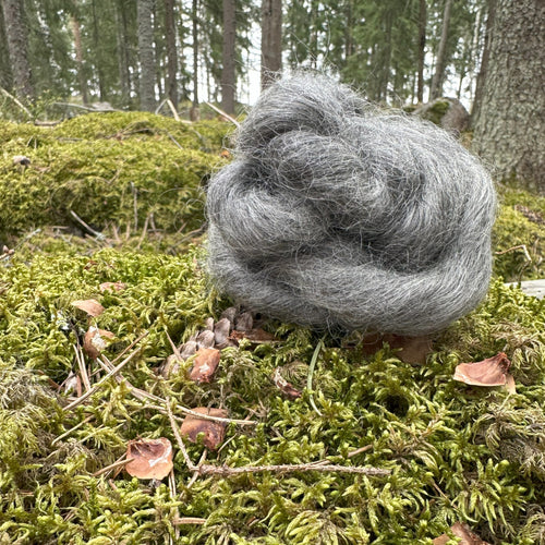 Gotlanninlammas - villatopsi 50g