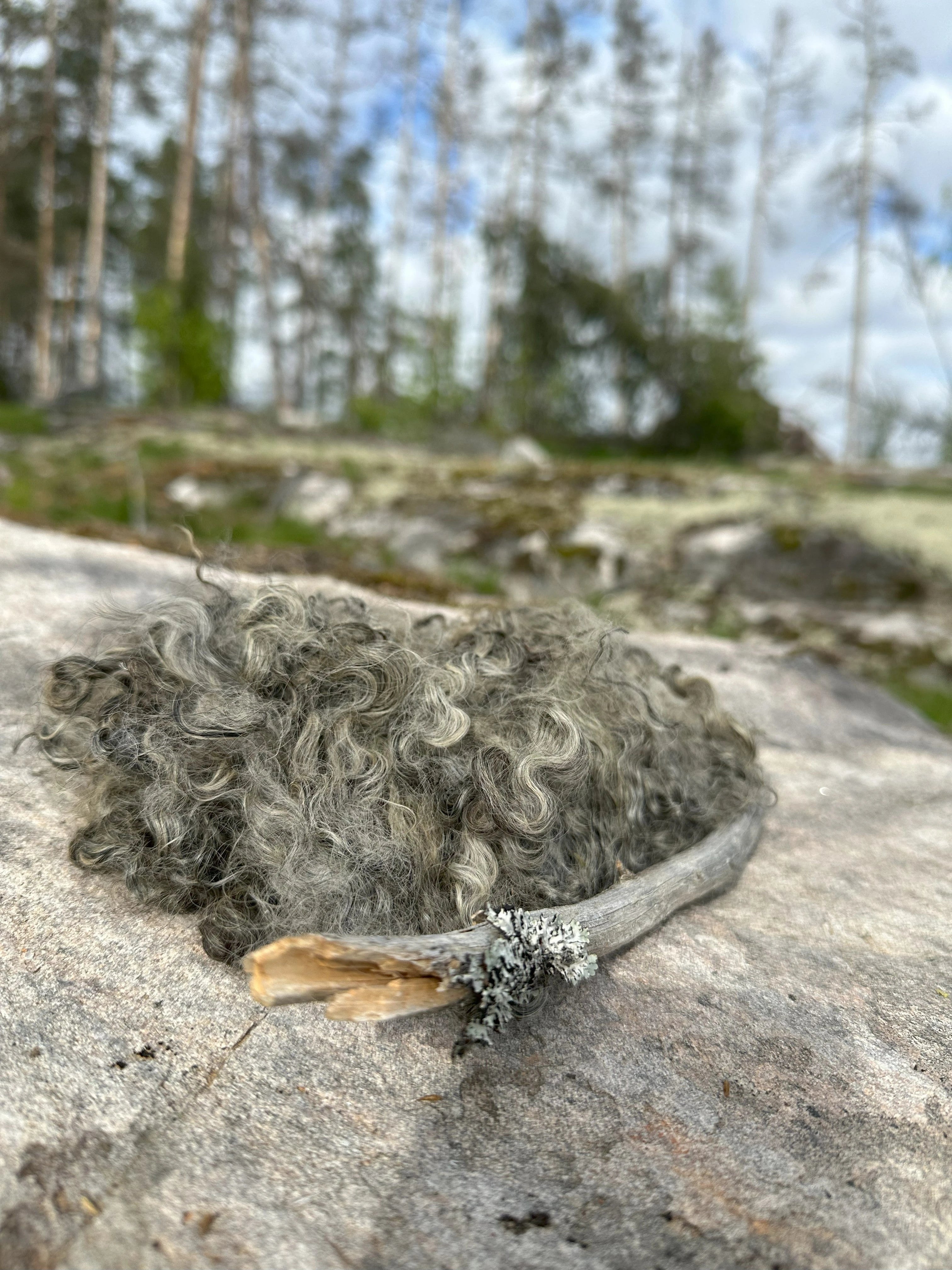Gotlanninlampaan Kevyesti pesty raakavilla, 100g
