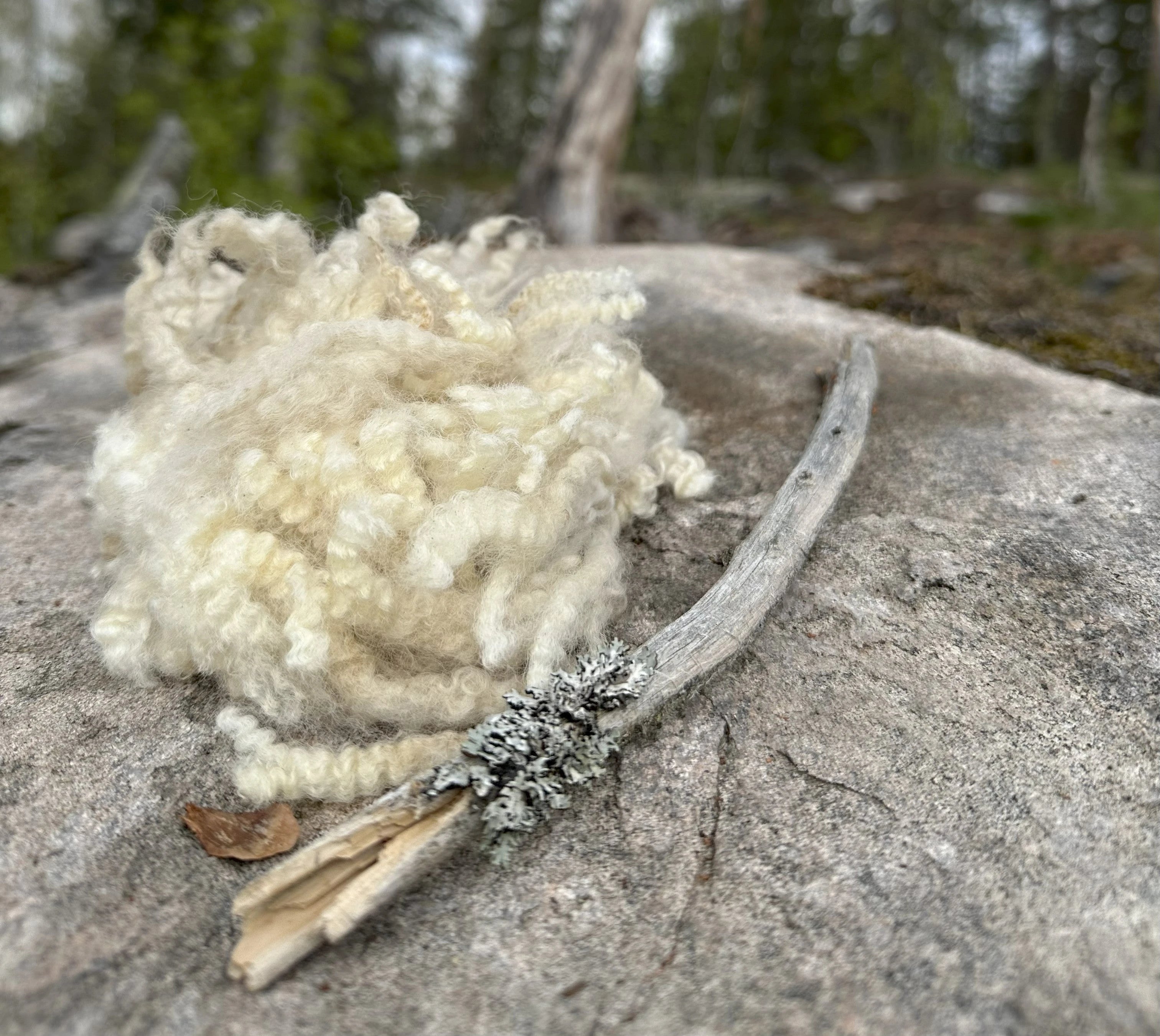 Suomenlampaan Kevyesti pesty raakavilla, 100g - Valkoinen