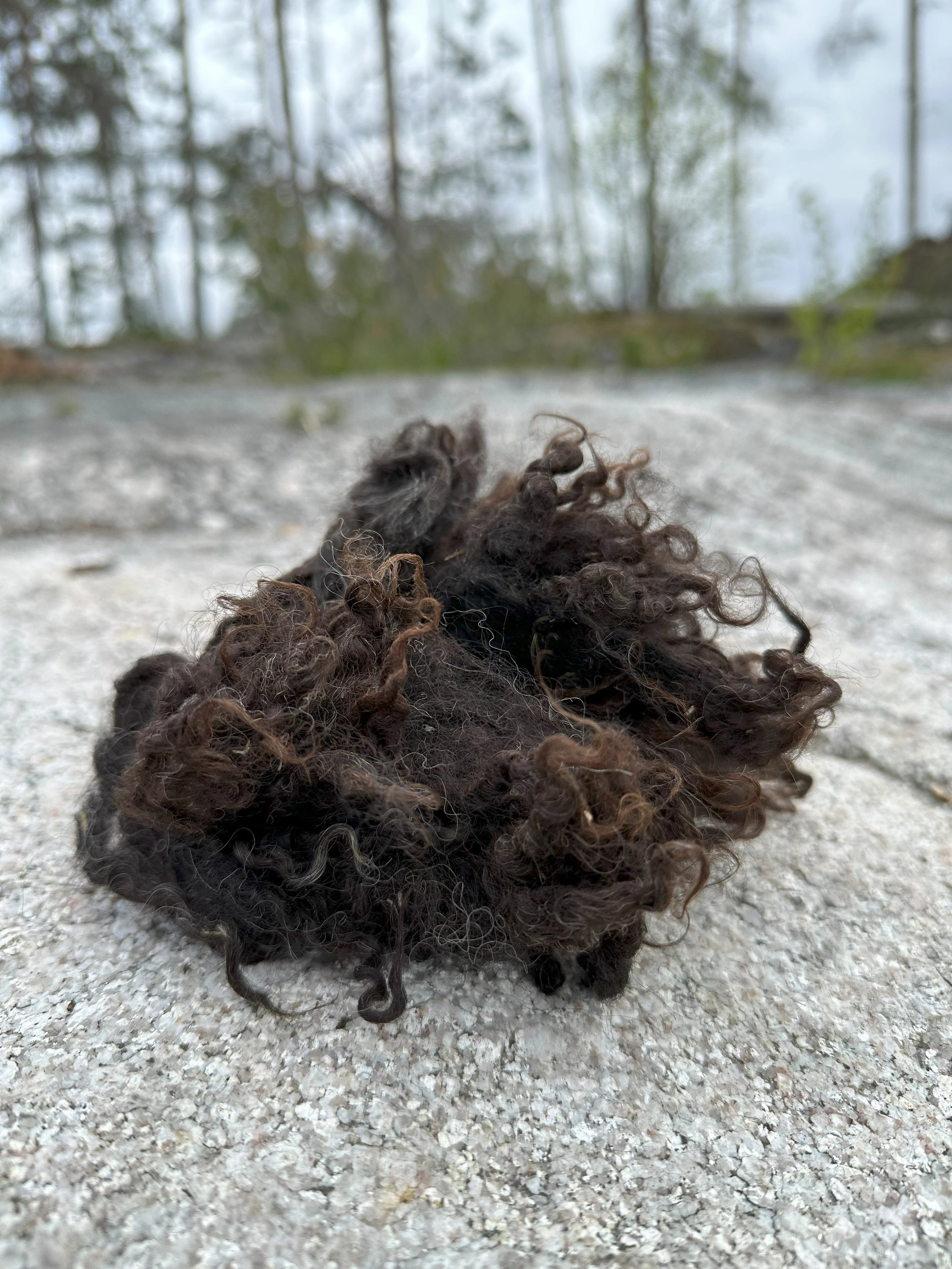 Suomenlampaan Kevyesti pesty raakavilla, 100g - musta
