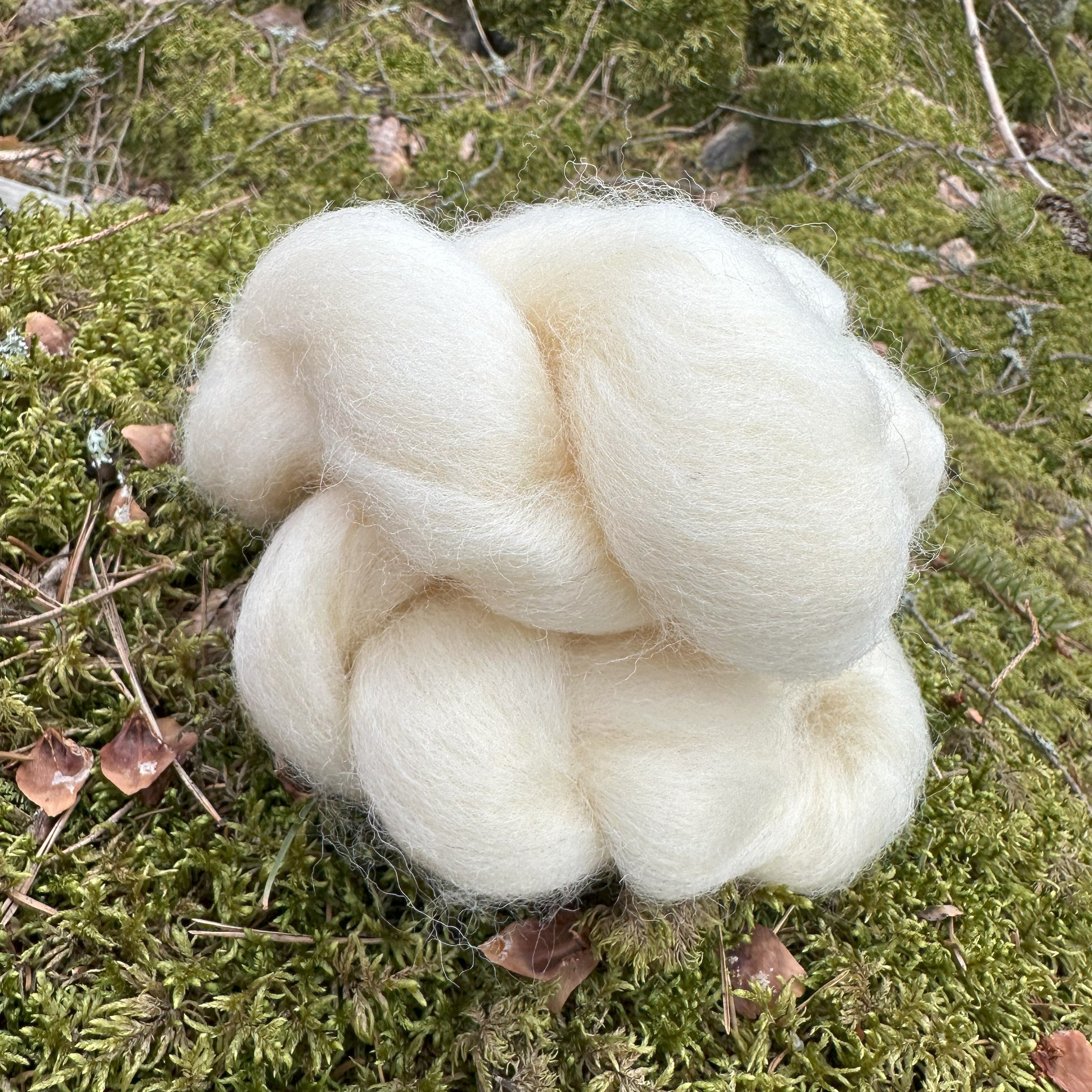 Suomenlammas -villatopsi 50g