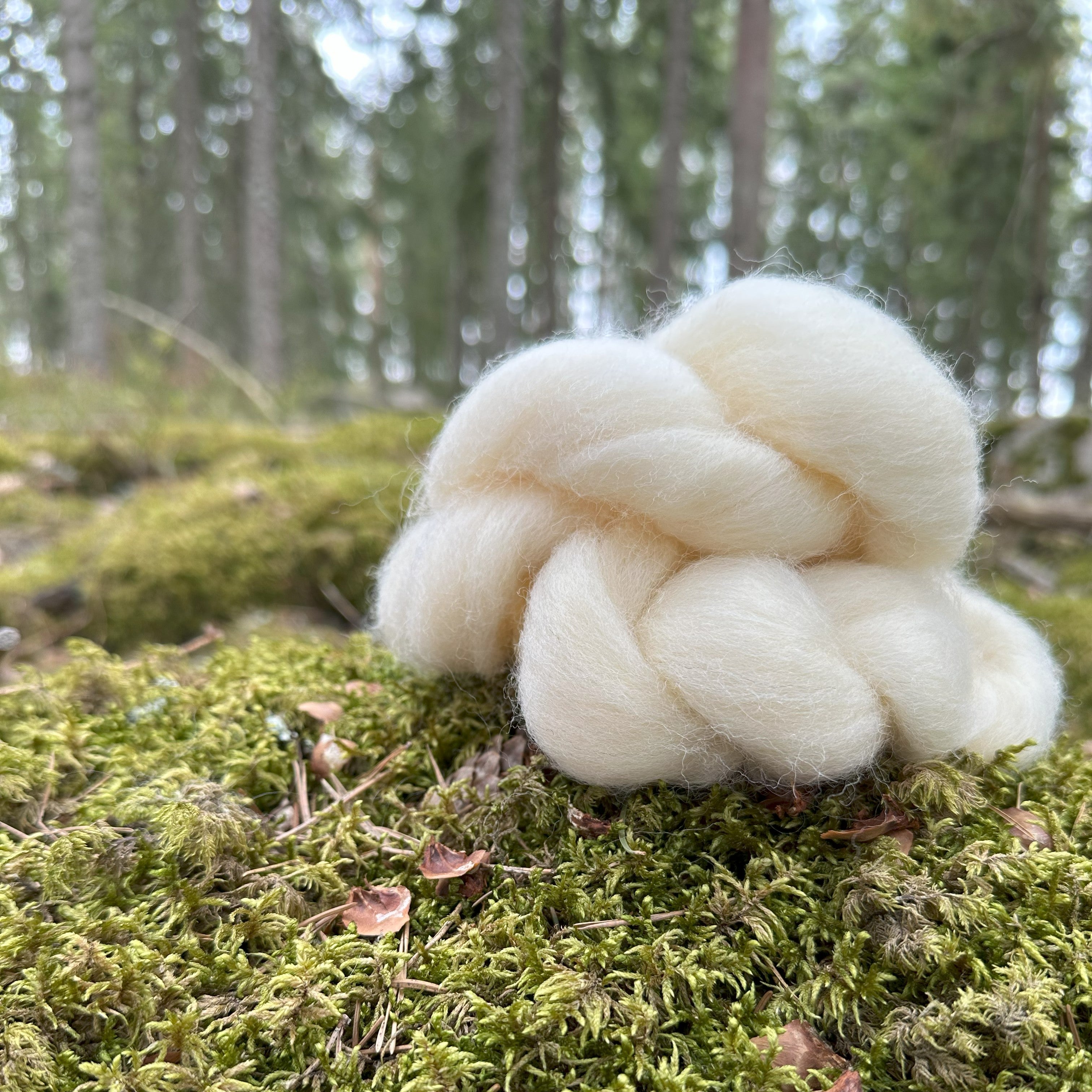 Suomenlammas -villatopsi 50g