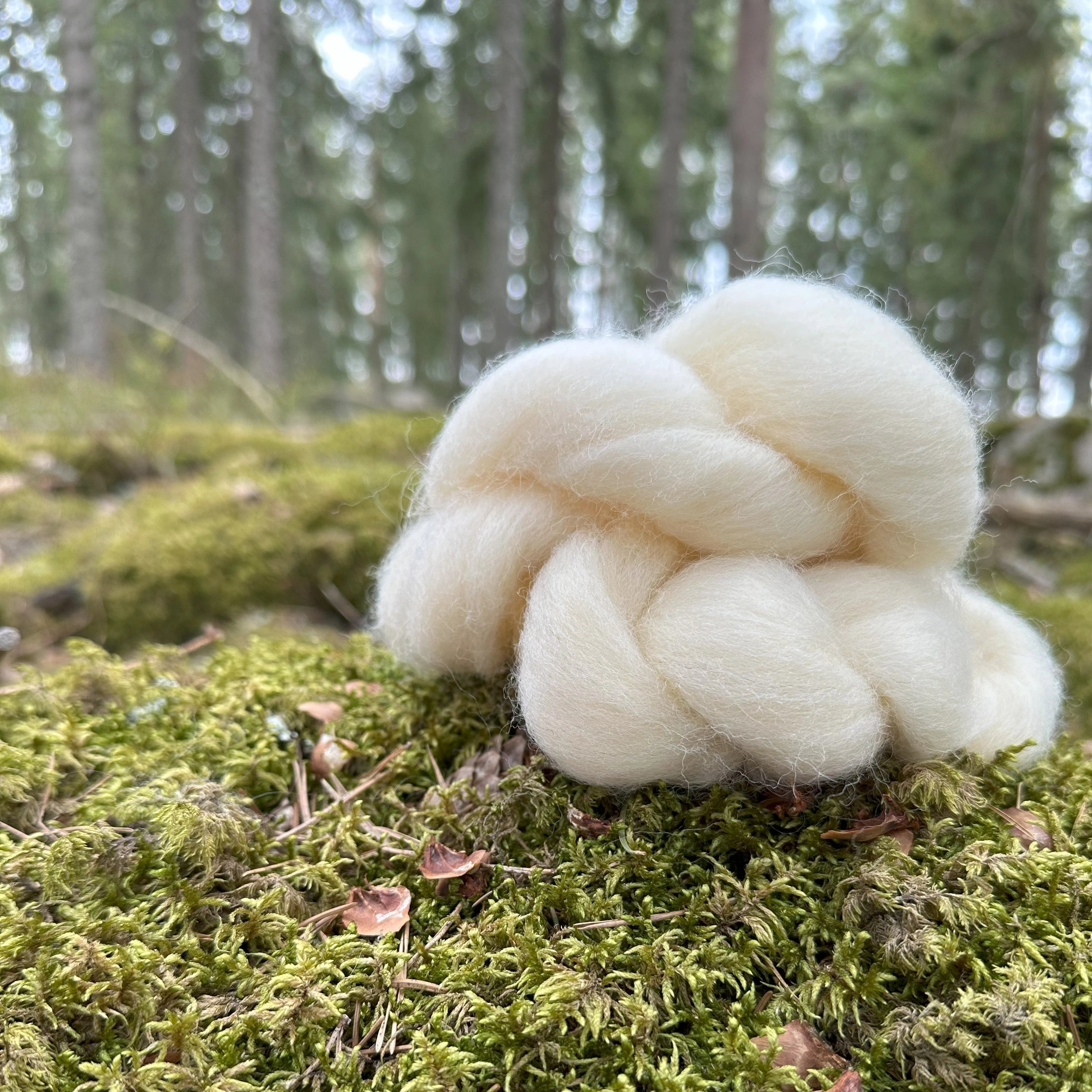 Pehmeää luksusta suoraan Suomesta! Suomenlampaan villa hurmaa silkkisellä pehmeydellään, kauniilla kiillollaan ja ainutlaatuisella lämmöllään. Täydellinen luonnonmateriaali vastuullisiin ja mukaviin tuotteisiin.