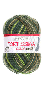 Schoeller + Stahl Fortissima Color 6-ply, 150 g