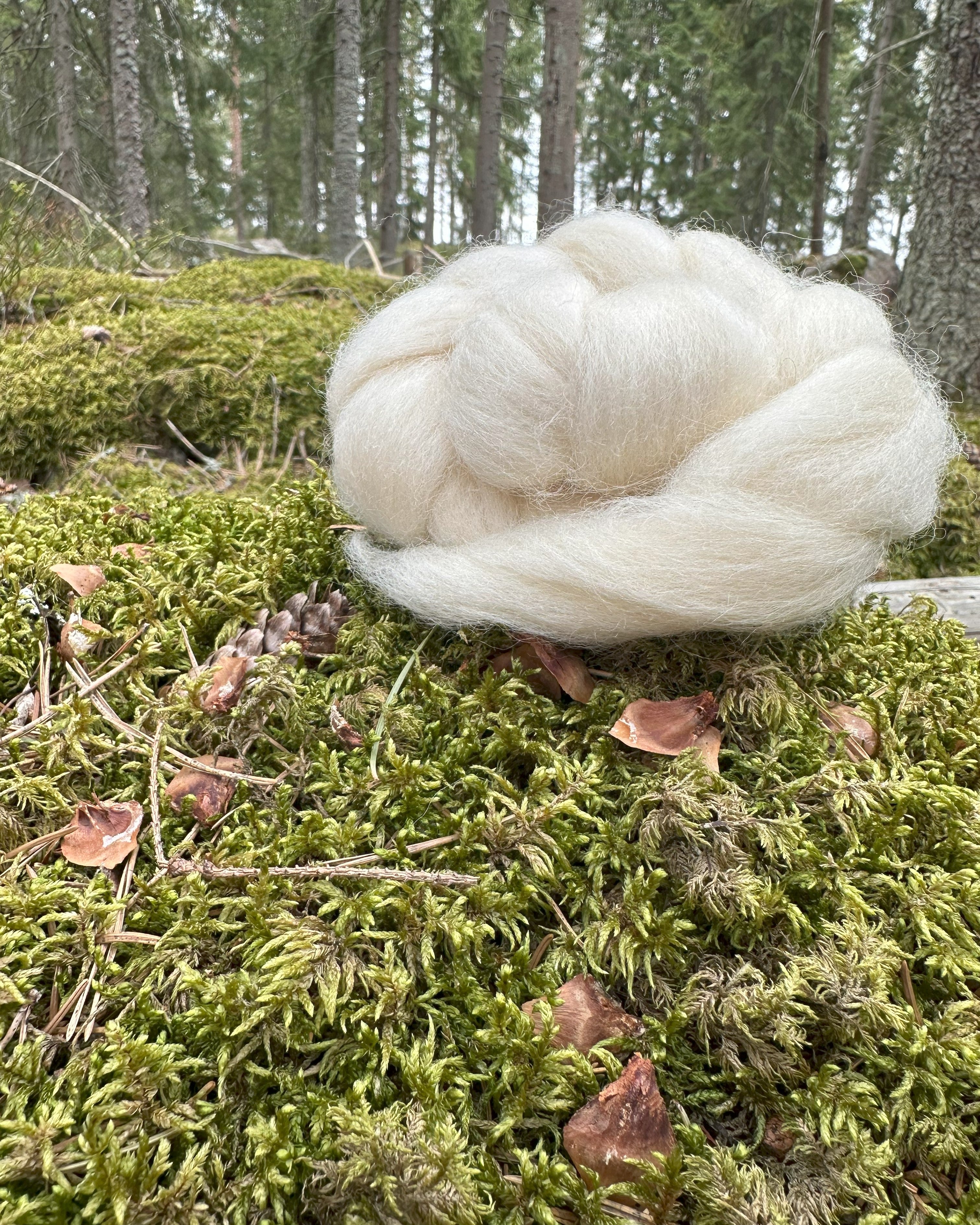 Norjalainen villa  - villatopsi 50g