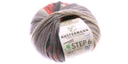 Austermann step 6 ply kirjava, 150g